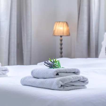 Michelle 10 * 프로타라스