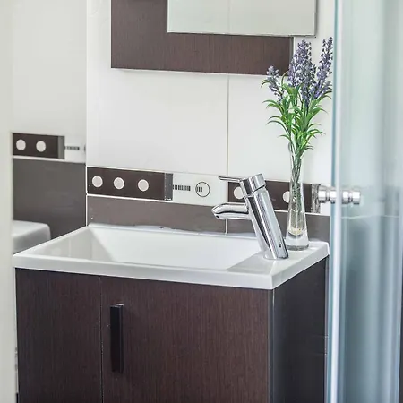 Michelle 10 * 프로타라스